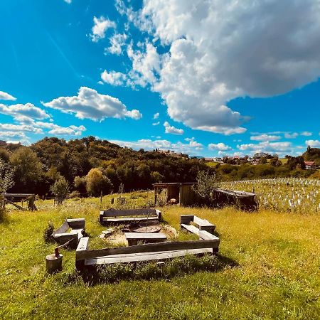 Boutique Glamping Divja Divine Villa Zgornja Korena Kültér fotó