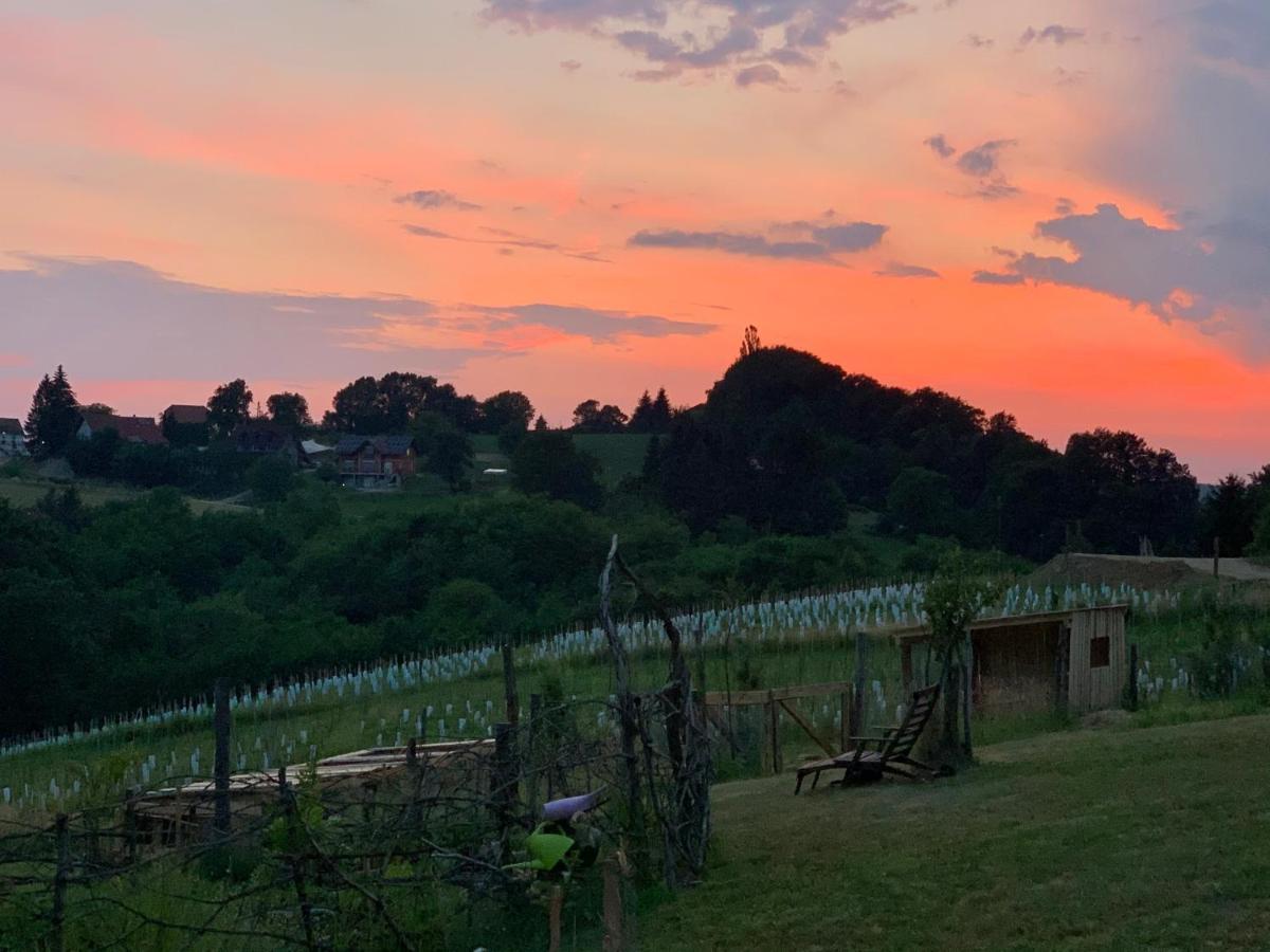 Boutique Glamping Divja Divine Villa Zgornja Korena Kültér fotó