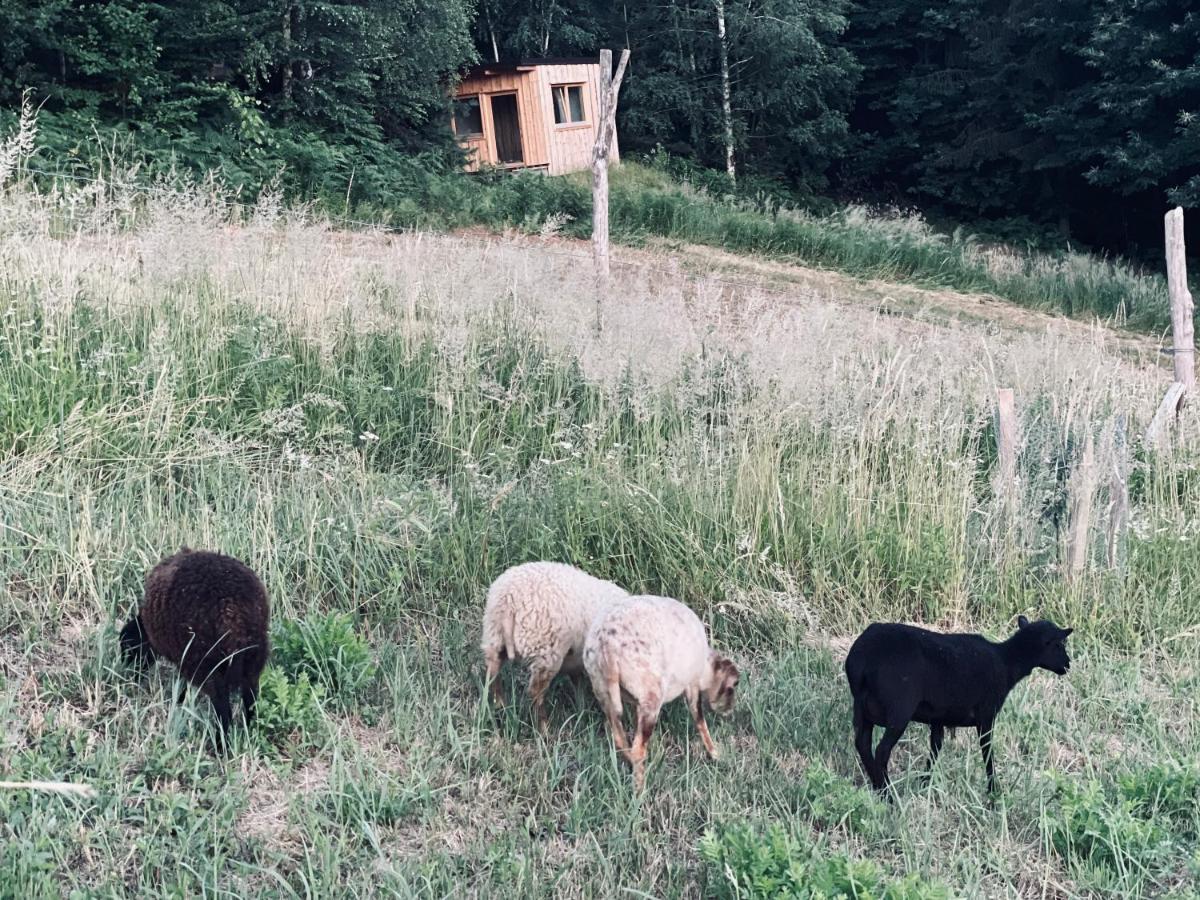 Boutique Glamping Divja Divine Villa Zgornja Korena Kültér fotó