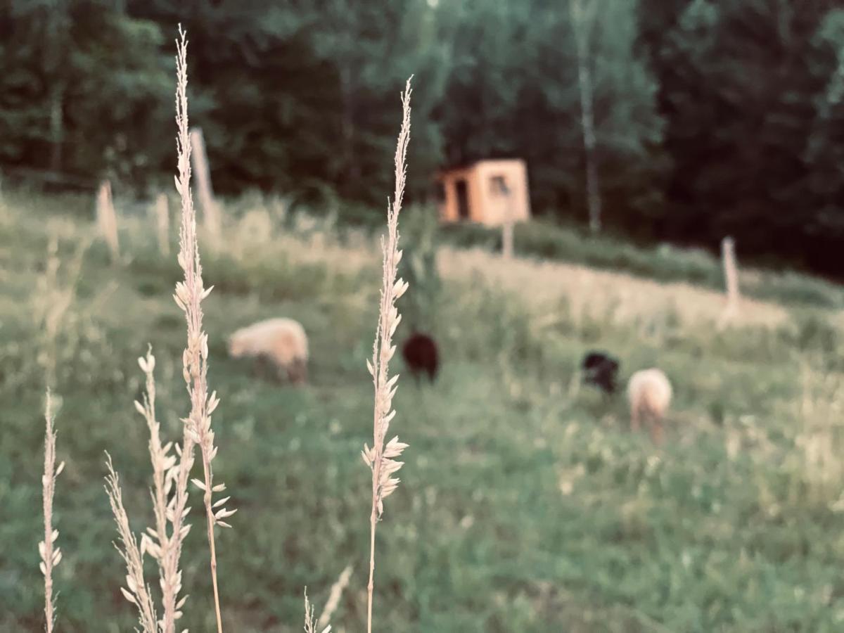 Boutique Glamping Divja Divine Villa Zgornja Korena Kültér fotó