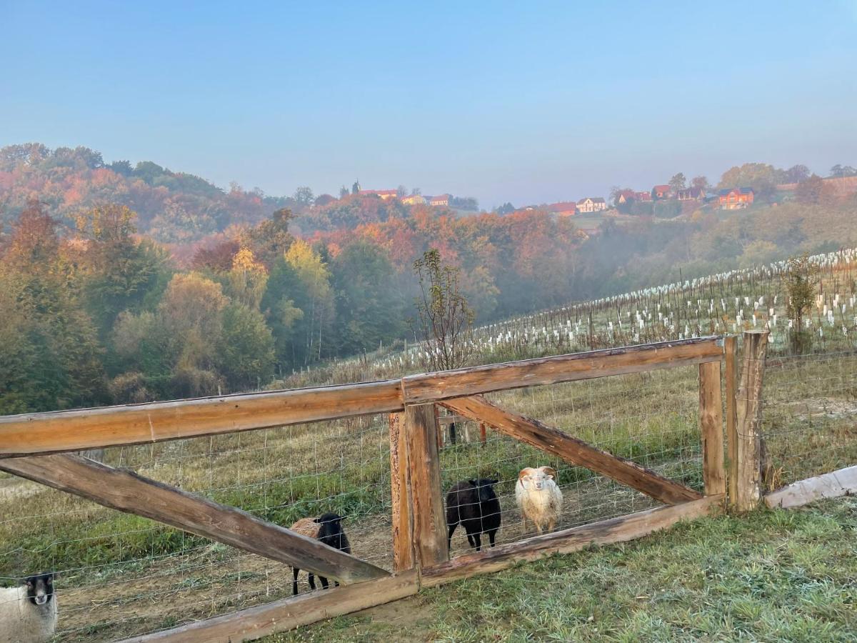 Boutique Glamping Divja Divine Villa Zgornja Korena Kültér fotó