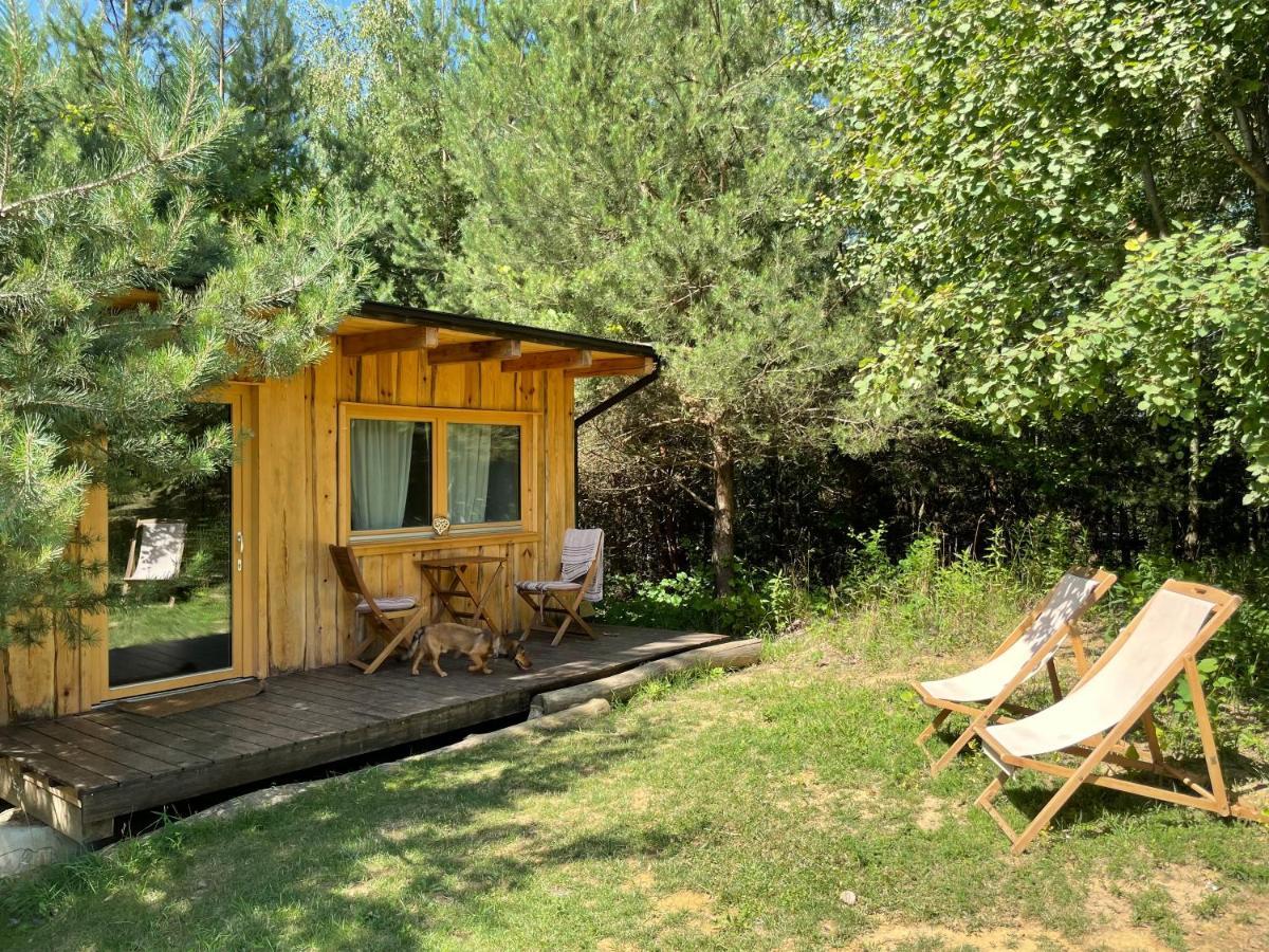 Boutique Glamping Divja Divine Villa Zgornja Korena Kültér fotó
